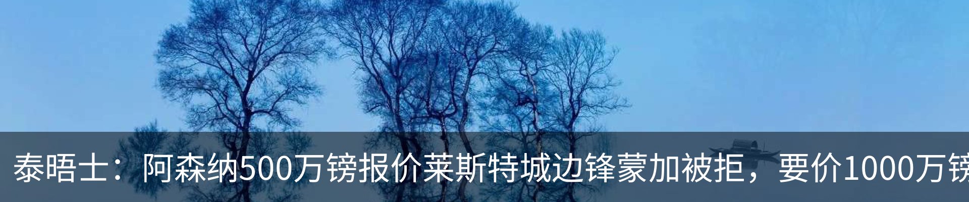 资讯动态